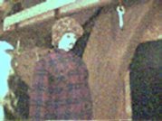 hanging1.jpg